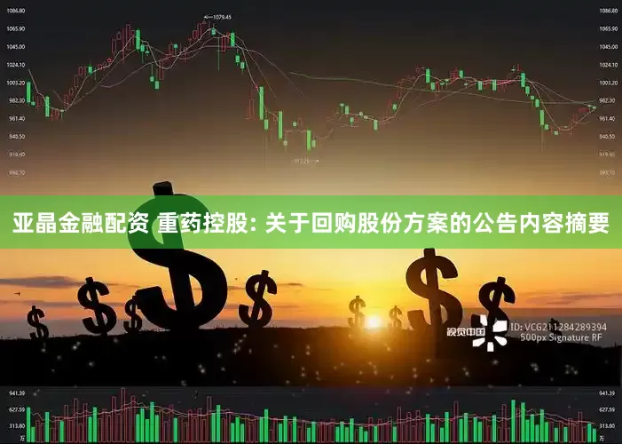 亚晶金融配资 重药控股: 关于回购股份方案的公告内容摘要