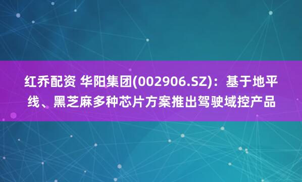 红乔配资 华阳集团(002906.SZ)：基于地平线、黑芝麻多种芯片方案推出驾驶域控产品
