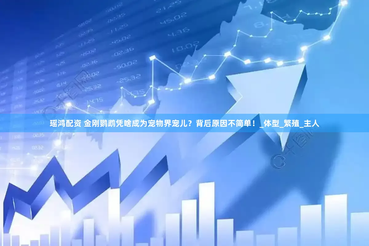 瑶鸿配资 金刚鹦鹉凭啥成为宠物界宠儿？背后原因不简单！_体型_繁殖_主人