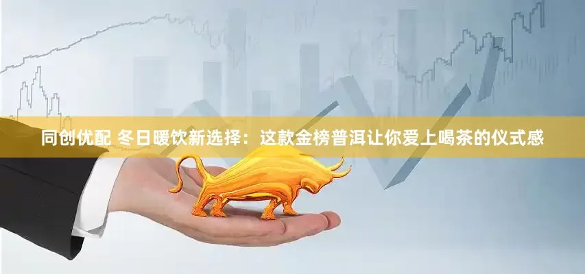 同创优配 冬日暖饮新选择：这款金榜普洱让你爱上喝茶的仪式感