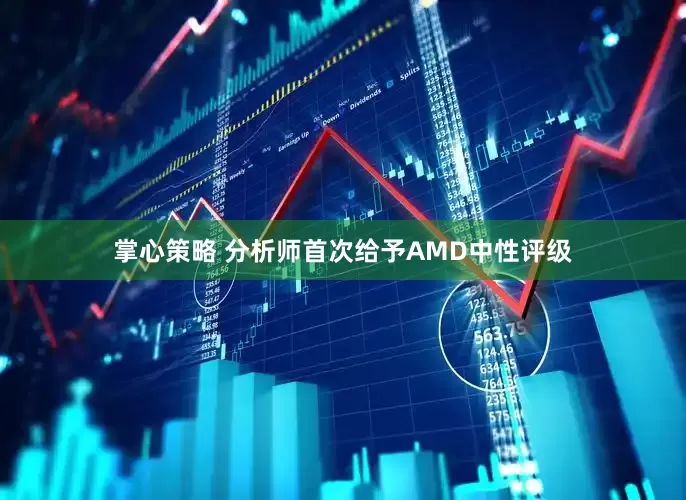 掌心策略 分析师首次给予AMD中性评级