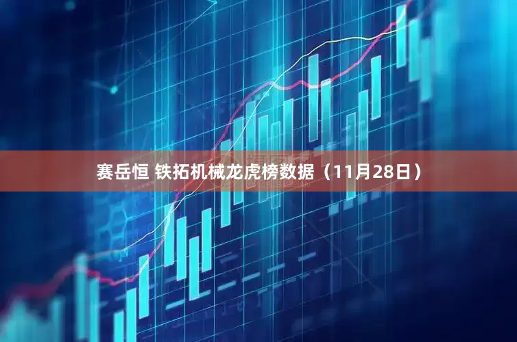 赛岳恒 铁拓机械龙虎榜数据（11月28日）